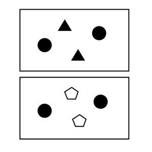 Indexing diversity: top image shows 2 black circles and 2 black triangles, bottom image shows 2 black circles and 2 white pentagon.