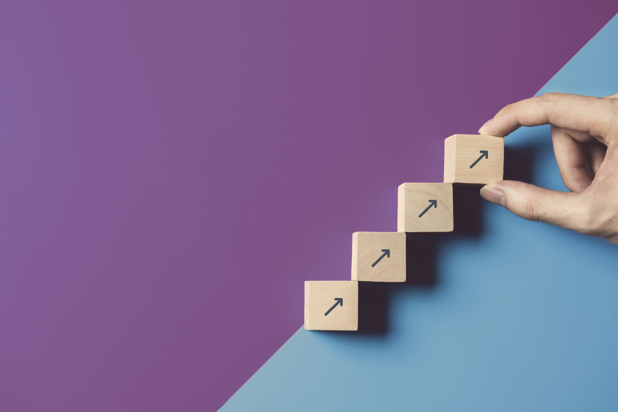 Workforce Mutuality as Key to Organisational Effectiveness and Sustainable Growth